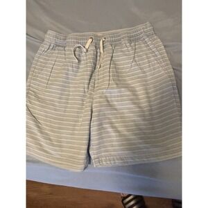 Marine Layer Shorts Medium